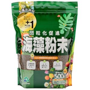 海藻粉末 お試し 家庭向けサイズ 500g 4個セット 団粒化促進 土壌改良剤 アミノ酸 ミネラル補給 ホンダワラ [自然応用科学] 000236