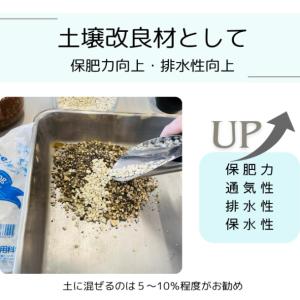 海藻粉末 お試し 家庭向けサイズ 500g 4...の詳細画像3