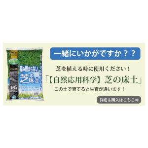 [自然応用科学]「根張りが良くなる芝の目砂/1...の詳細画像3