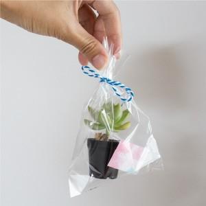 ミニサイズの多肉植物のプチギフト [追加購入専...の詳細画像1
