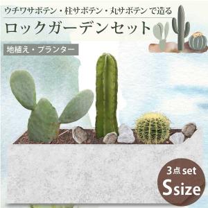 サボテンで造るロックガーデンセット 3品種 [S...の商品画像