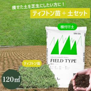 ティフトン芝 安心スターターセット（苗＋専用土）120平米用 　ポット苗600個＋土720L(30Lx24袋） 床土 目土 オーバーシード