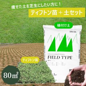ティフトン芝 安心スターターセット（苗＋専用土）80平米用 　ポット苗400個＋土480L(30Lx16袋） 床土 目土 オーバーシード