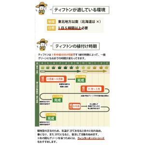 ***在庫確認要***【植付時の肥料付!】ティ...の詳細画像5