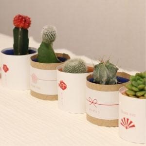 [40set]多肉植物 プチギフトセット(和風...の詳細画像4