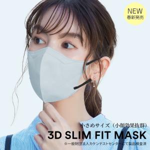 【送料無料】 マスク 不織布 小顔マスク 44...の詳細画像1