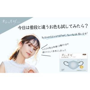 【送料無料】 マスク 不織布 小顔マスク 44...の詳細画像3