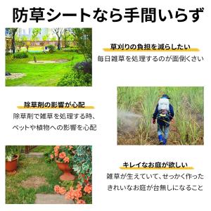 【U字ピン付き】防草シート 除草シート 1mx...の詳細画像1