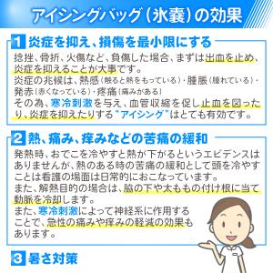 氷嚢 氷のう アイシング バッグ クーリング ...の詳細画像1
