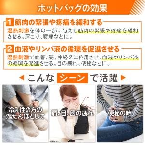 氷嚢 氷のう アイシング バッグ クーリング ...の詳細画像3