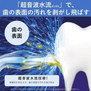 正規品 2024 最新 歯科医師監修 口腔洗浄...の詳細画像4
