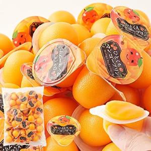 天然生活 ひとくちマンゴープリン  一口サイズ おやつ スイーツ お弁当 デザート お菓子 大容量 常温