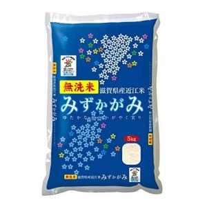 精米 滋賀県産 無洗米 みずかがみ 5kg