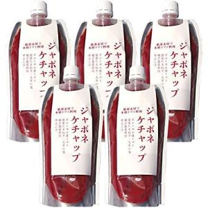井上醤油店 ジャポネケチャップ 300g ×5個