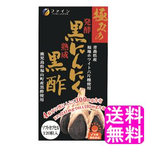 黒酢エキス粉末 もろみ粉末 EPA DHA ファイン 極みの発酵黒にんにく黒酢 送料無料 ポイント消化｜soryomuryotekisyoten