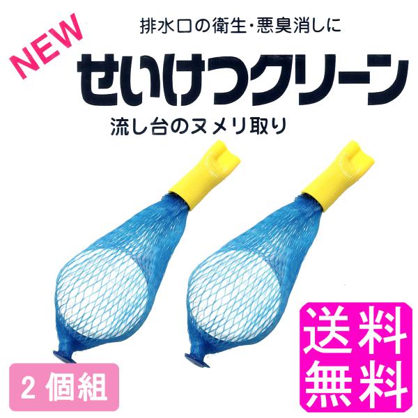 ポイント消化 送料無料 500円 せいけつクリーン 20g(1錠) 【2個組】 ヌメリ 黒ずみ パイ...