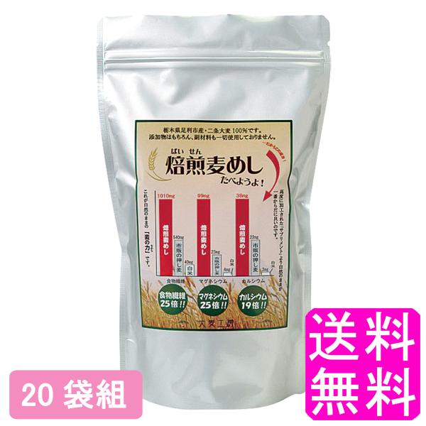 麦飯 大麦 焙煎麦めしたべようよ! 320g 【20袋組】 送料無料 ポイント消化