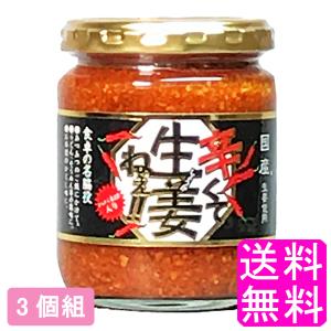 ご飯のお供 おかず 調味料 辛くて生姜ねぇ!! 【3個組】 送料無料 ポイント消化