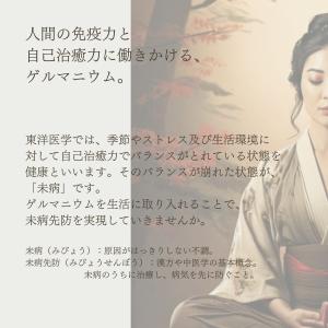 ゲルマニウムネックレス 肩こり 解消グッズ 健...の詳細画像4