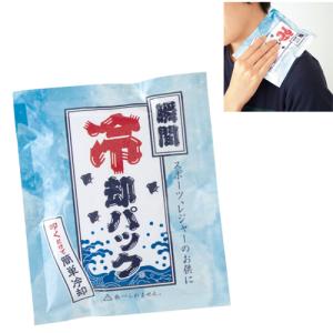 プチギフト 粗品 記念品 涼感 猛暑 熱中症対策　瞬間冷却パック　1個