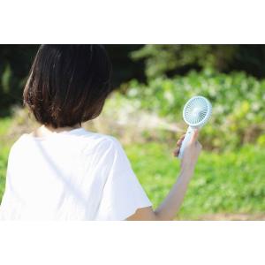記念品 ギフト/販促品 ノベルティ グッズ エ...の詳細画像3