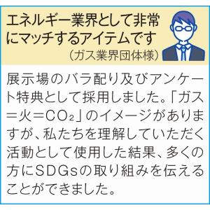 イベント 縁日 催物 抽選会/名入れ ロゴ入れ...の詳細画像1