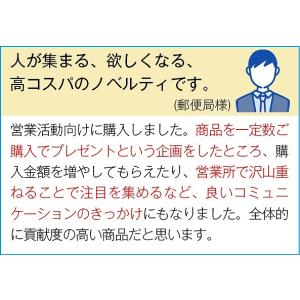 販促品 ノベルティ グッズ/イベント 縁日 催...の詳細画像4