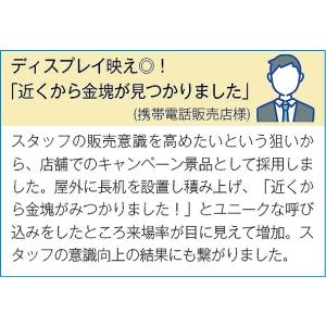 イベント 縁日 催物 抽選会/販促品 ノベルテ...の詳細画像4
