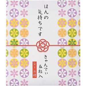 ロゴ入れ、名入れ・記念品、ノベルティに!　ほんの気持ちです(キャンディ5粒入)シール付