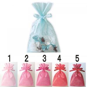 店舗 業務用 物販向け　[ギフト用 巾着 リボン付] クリア S3(W150×H250mm)