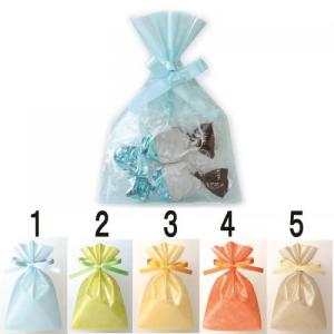 店舗 業務用 物販向け　[ギフト用 巾着 リボン付] クリア S1(W100×H150mm)