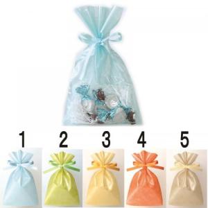 店舗 業務用 物販向け　[ギフト用 巾着 リボン付] クリア S3(W150×H250mm)