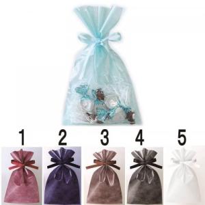 店舗 業務用 物販向け　[ギフト用 巾着 リボン付] クリア S3(W150×H250mm)