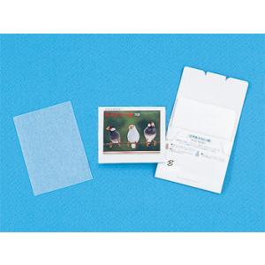 名入れ ロゴ入れ オリジナル/イベント 縁日 催...の商品画像