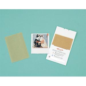 イベント 縁日 催物 抽選会/名入れ ロゴ入れ オリジナル　ノベルティ向けあぶらとり紙(茶紙)　まいこ二人N　10枚入