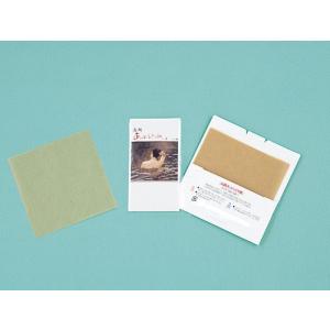 イベント 縁日 催物 抽選会/名入れ ロゴ入れ オリジナル　ノベルティ向けあぶらとり紙(茶紙)　い〜湯N　10枚入