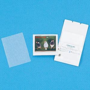 名入れ ロゴ入れ オリジナル/イベント 縁日 催物 抽選会　あぶらとり紙(白紙)文鳥N20枚入