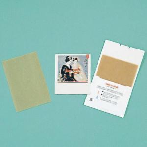 イベント 縁日 催物 抽選会/名入れ ロゴ入れ オリジナル　あぶらとり紙(茶紙)　まいこ二人N　20枚入