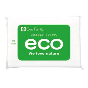 イベント 縁日 催物 抽選会　バガスエコポケットティッシュ8W