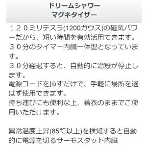 磁気治療器 Dshower B 3 ヘルストロンなど各種治療器専門社 ドリームシャワー マグネタイザーsst型 中古 3台セット Bランク 磁気治療器