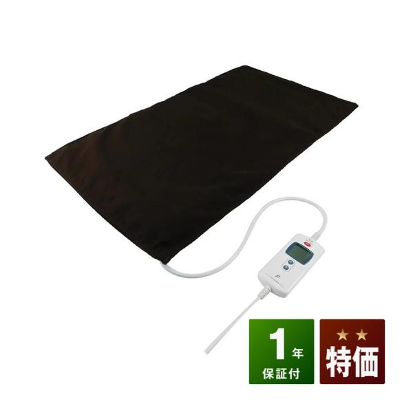 温蒸浴うるおいIII　中古　特価ランク　1年保証　温熱治療器　フランス総合医療　　フランスベッド　