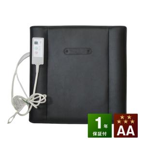 【中古】Tesla Mate EX (テスラメイトEX)　1年保証　リブレックス　株式会社アルビ　家庭用電気磁気治療器【送料無料】 Magnetic therapy