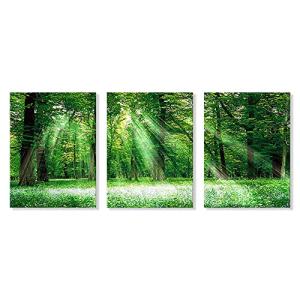 7 CANVAS アートパネル 3枚 森 風景画 太陽の下の森 緑 自然 絵画 インテリア アート ポスター キャンバスアート 玄関 壁の絵｜sosola-shop