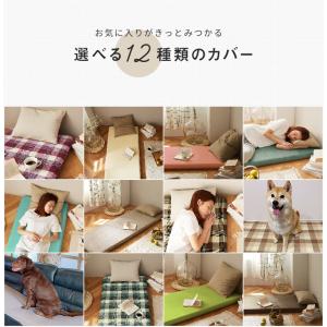 【カバーのみ】ごろ寝マット カバー 65×11...の詳細画像1