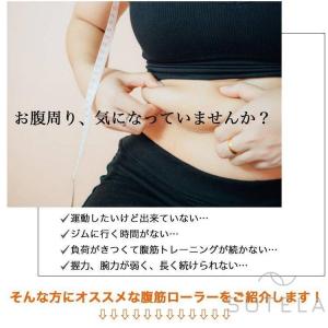 腹筋ローラー アブローラー 初心者 女性 効果...の詳細画像1