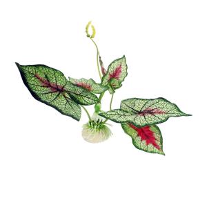 ジオラマ 草 熱帯魚 アクアリウム用品 の商品一覧 ペット用品 生き物 通販 Yahoo ショッピング