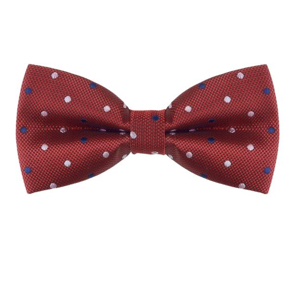 Allegra K 蝶ネクタイ ボウタイ リボン 水玉 柄 パーティー 入学式 結婚式 メンズ レデ...