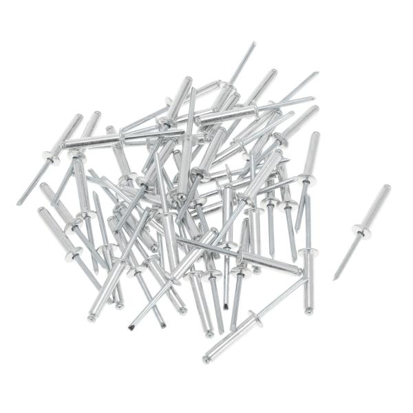 TUCKBOLD ドームヘッドラージフランジブラインドリベット シルバートーン 50個 5mmグリッ...