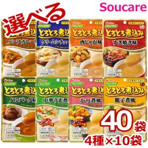 ハウスギャバン やさしくラクケア とろとろ煮込み シリーズ 食べ比べ