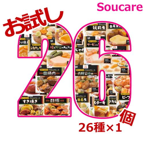 介護食 エバースマイル お試しセット 26種類 各1個 合計26個セット